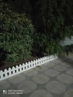 راش